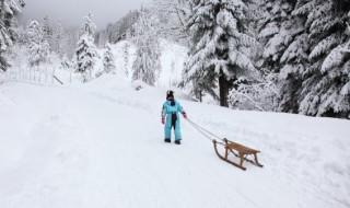 新车用扫把扫了积雪 新车用扫把扫了积雪怎么做