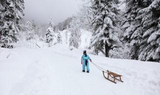 为什么很多人不清理车上雪 雪在车上不清理伤车吗