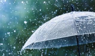 下雨天开车能开双闪吗?（下雨天开车可以打双闪吗）