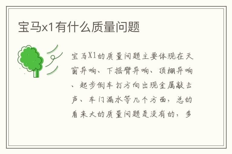 宝马x1有什么质量问题