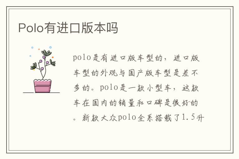 Polo有进口版本吗