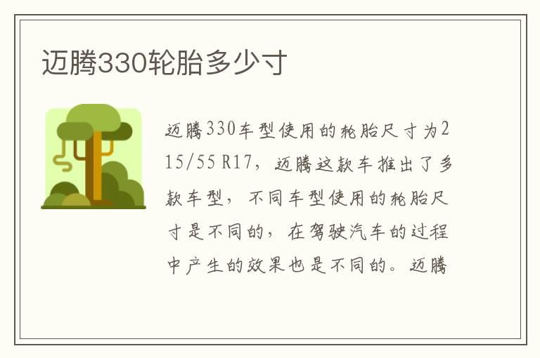 迈腾330轮胎多少寸