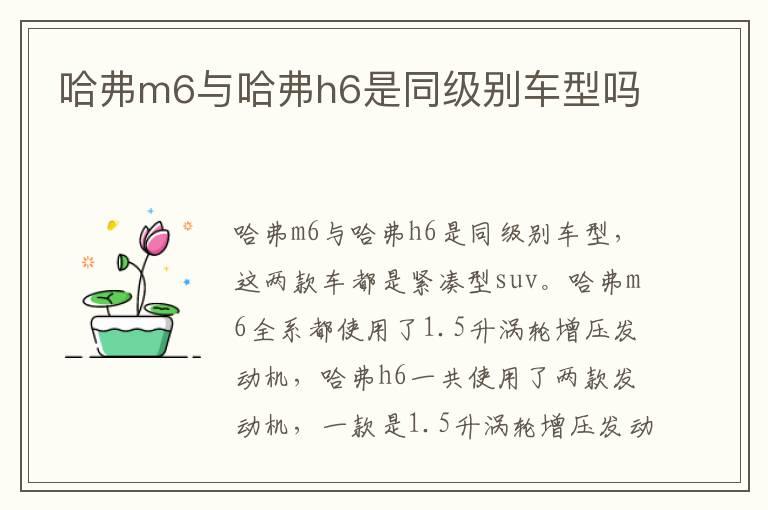 哈弗m6与哈弗h6是同级别车型吗