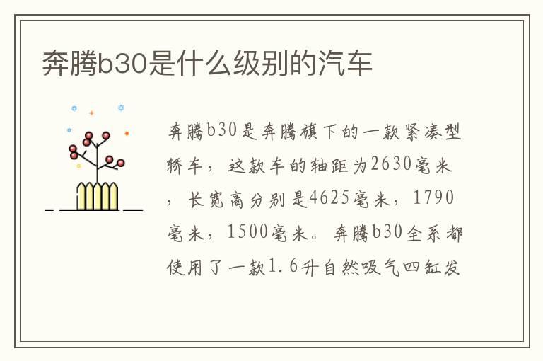 奔腾b30是什么级别的汽车