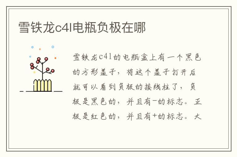 雪铁龙c4l电瓶负极在哪