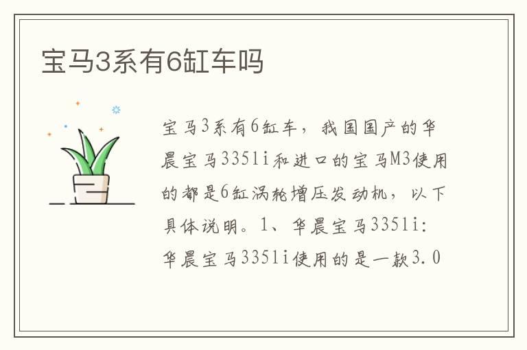 宝马3系有6缸车吗