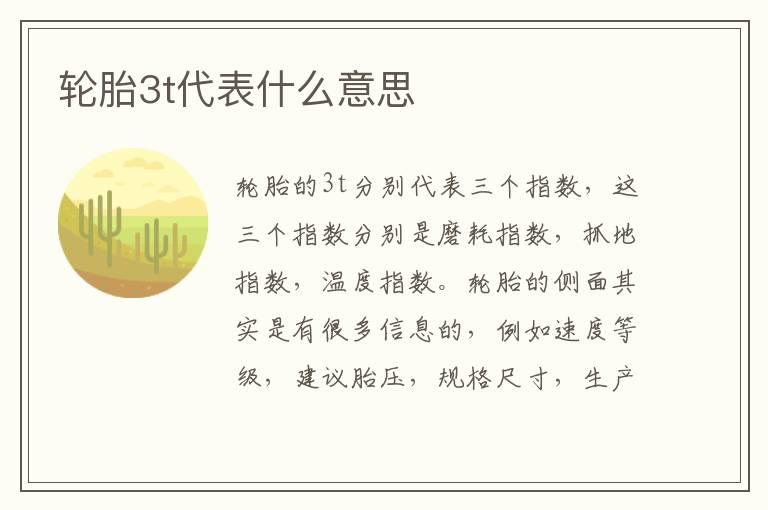 轮胎3t代表什么意思