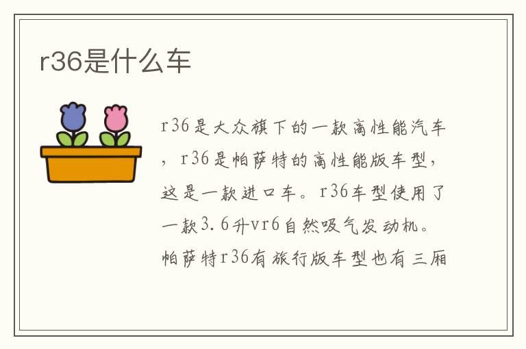 r36是什么车