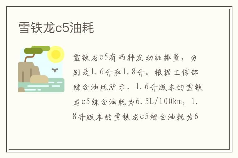雪铁龙c5油耗
