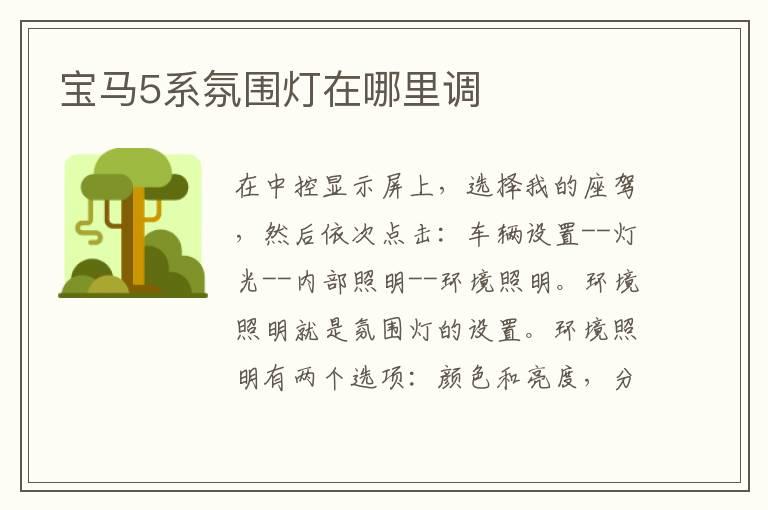 宝马5系氛围灯在哪里调