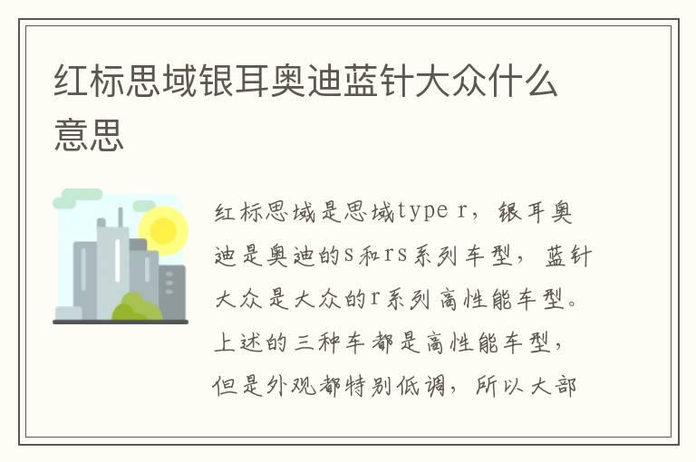 红标思域银耳奥迪蓝针大众什么意思