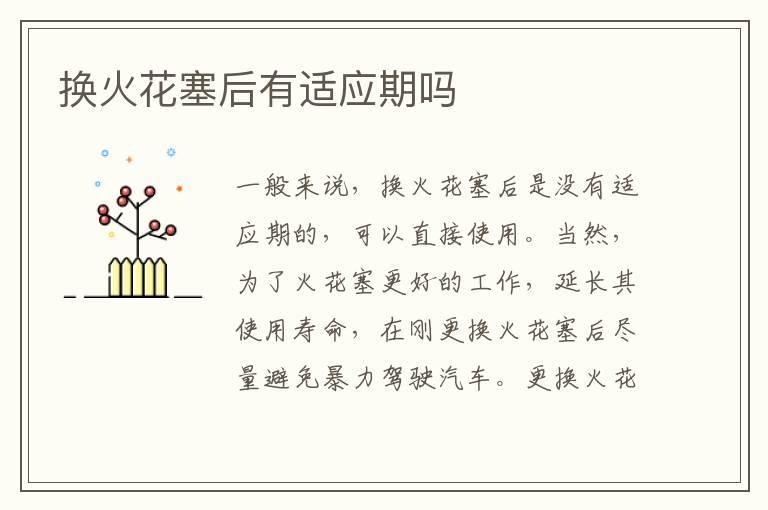 换火花塞后有适应期吗