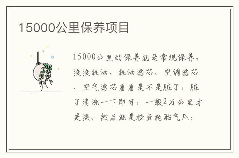 15000公里保养项目