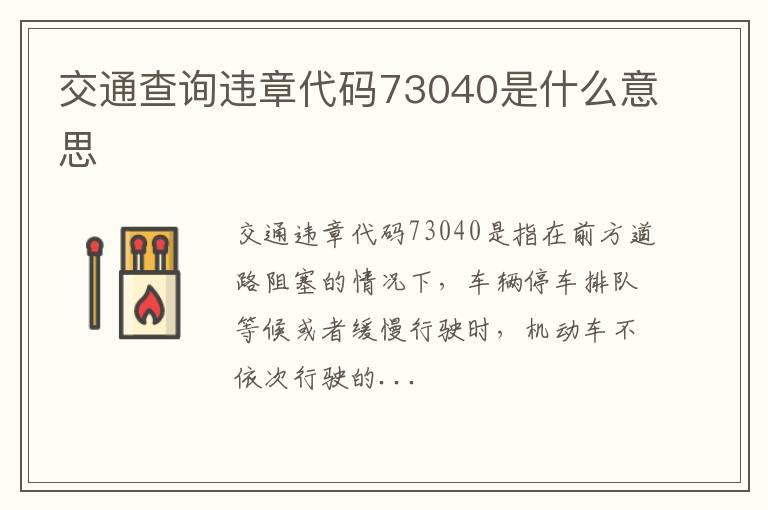 交通查询违章代码73040是什么意思