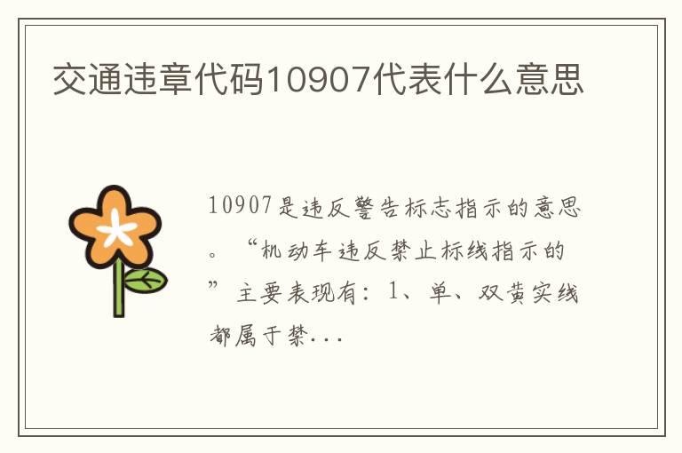 交通违章代码10907代表什么意思