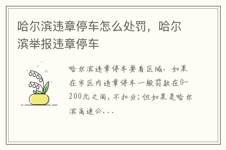 哈尔滨违章停车怎么处罚，哈尔滨举报违章停车