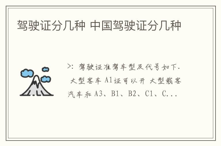 驾驶证分几种 中国驾驶证分几种