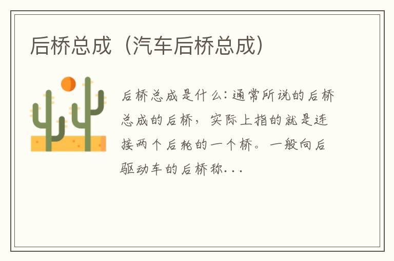 后桥总成（汽车后桥总成）