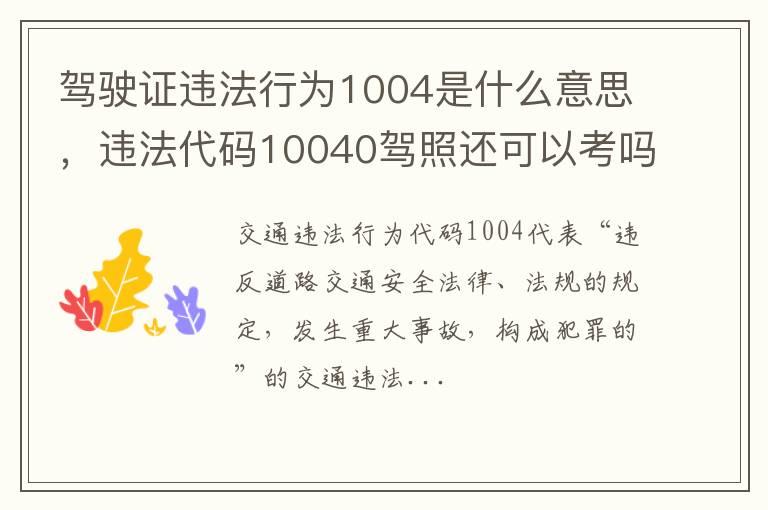 驾驶证违法行为1004是什么意思，违法代码10040驾照还可以考吗