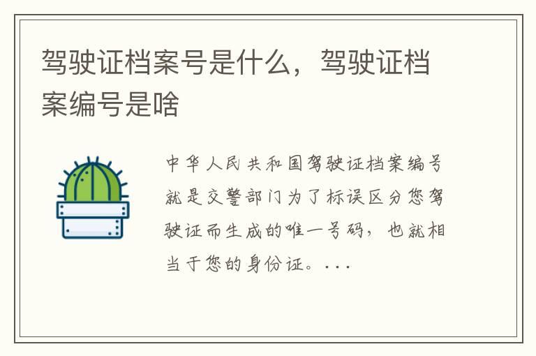 驾驶证档案号是什么，驾驶证档案编号是啥