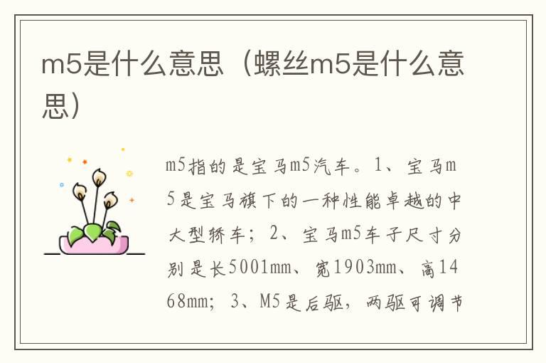 m5是什么意思（螺丝m5是什么意思）