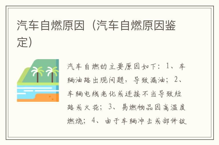 汽车自燃原因（汽车自燃原因鉴定）