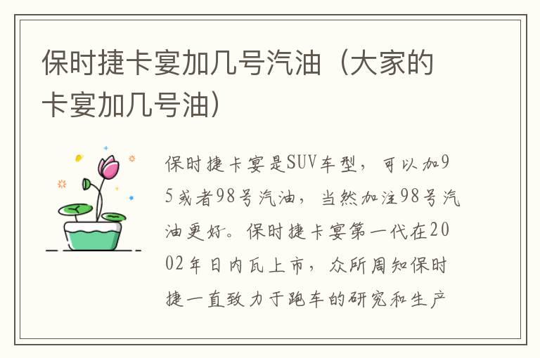 保时捷卡宴加几号汽油（大家的卡宴加几号油）