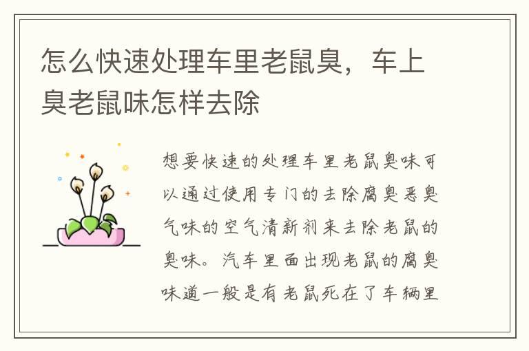 怎么快速处理车里老鼠臭，车上臭老鼠味怎样去除