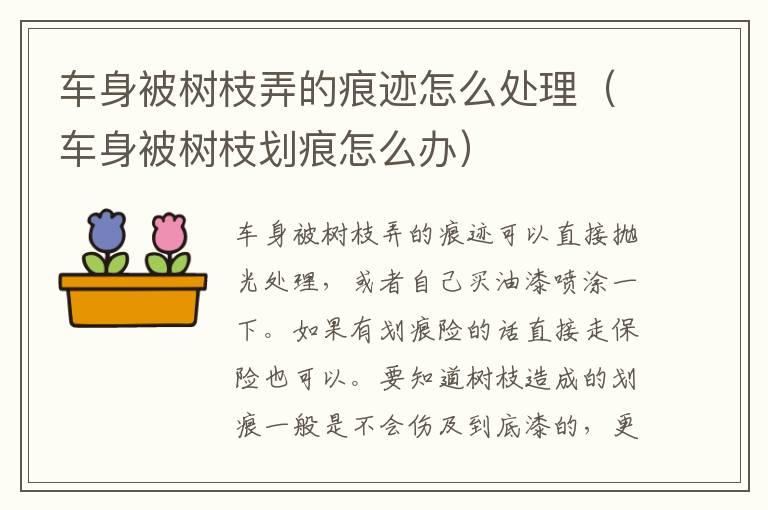 车身被树枝弄的痕迹怎么处理（车身被树枝划痕怎么办）