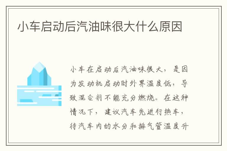 小车启动后汽油味很大什么原因