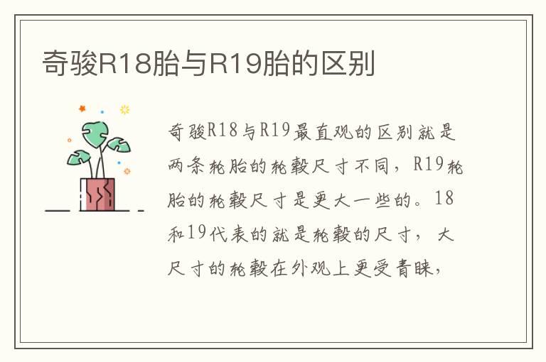 奇骏R18胎与R19胎的区别