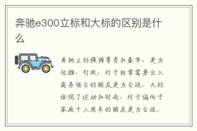 奔驰e300立标和大标的区别是什么