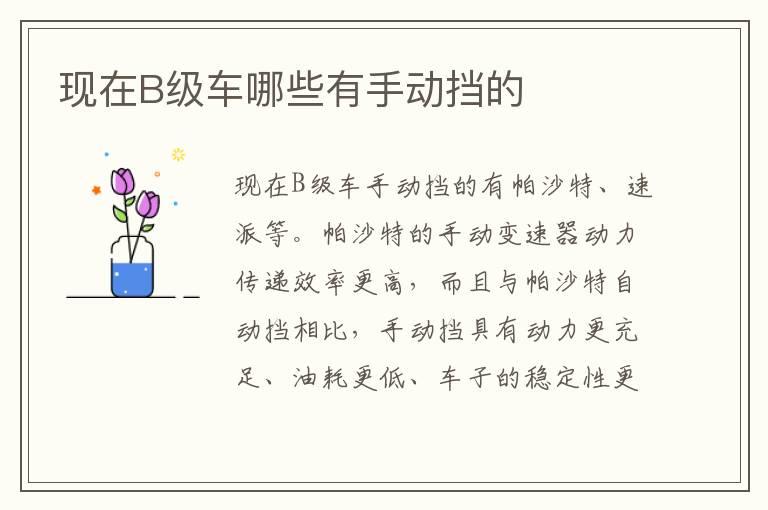 现在B级车哪些有手动挡的