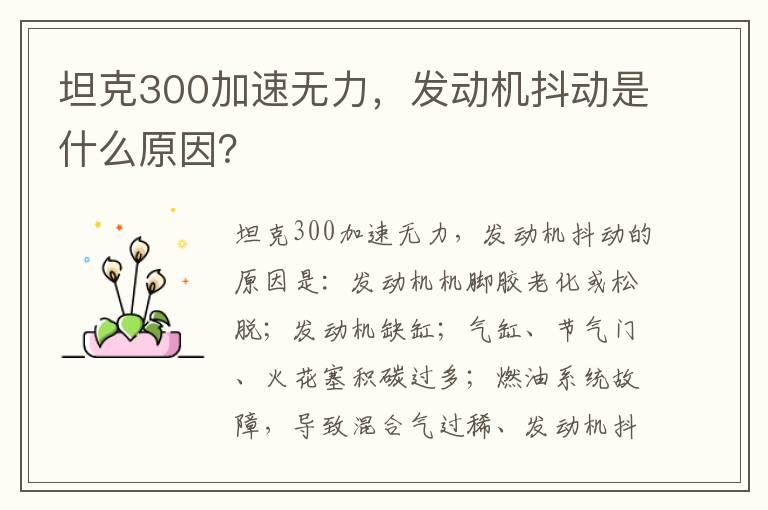 坦克300加速无力，发动机抖动是什么原因？
