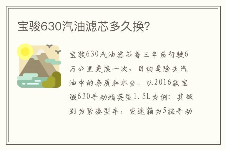 宝骏630汽油滤芯多久换？