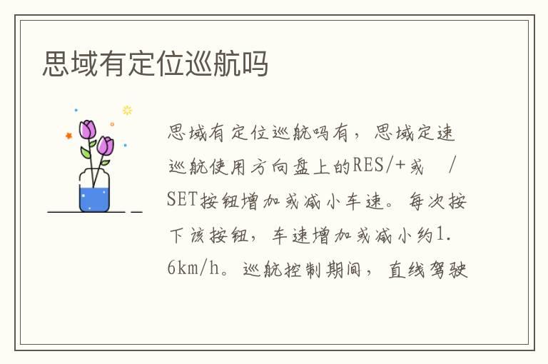 思域有定位巡航吗