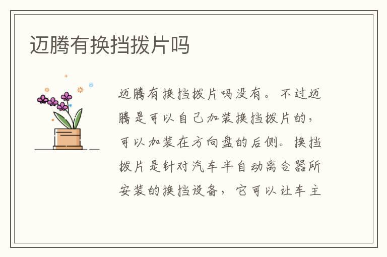 迈腾有换挡拨片吗