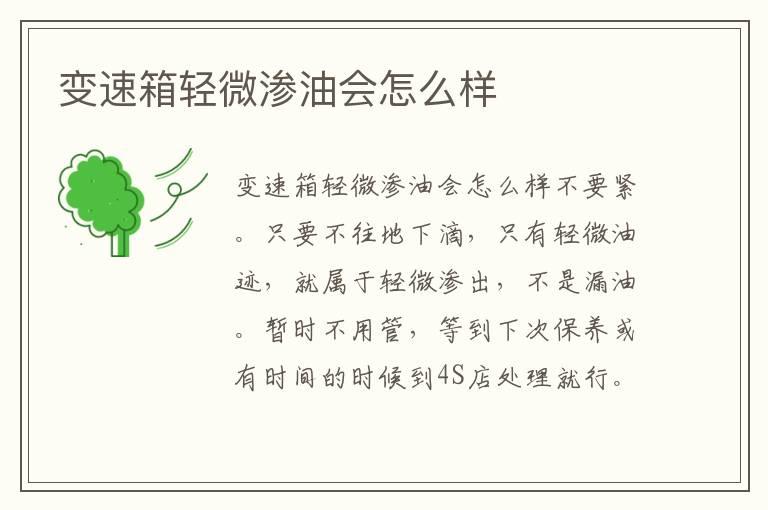 变速箱轻微渗油会怎么样