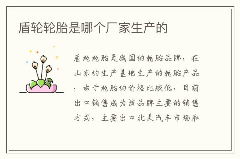 盾轮轮胎是哪个厂家生产的