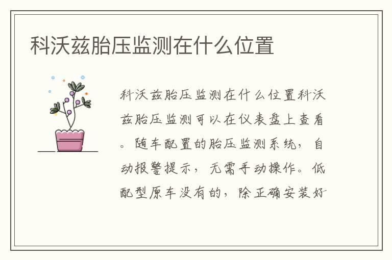 科沃兹胎压监测在什么位置