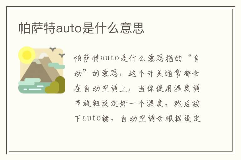 帕萨特auto是什么意思