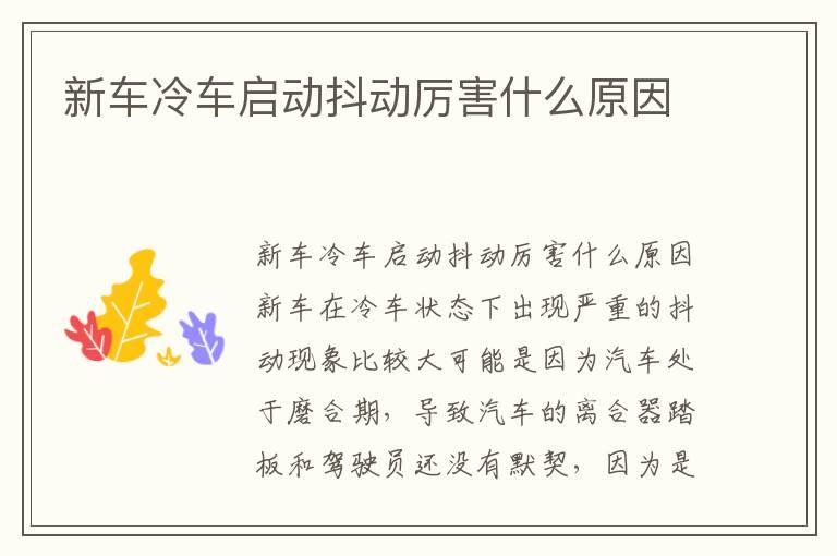 新车冷车启动抖动厉害什么原因