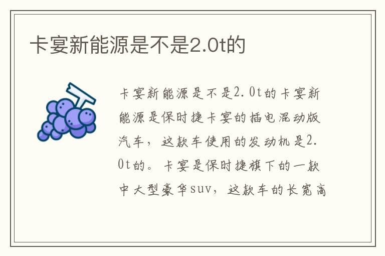 卡宴新能源是不是2.0t的