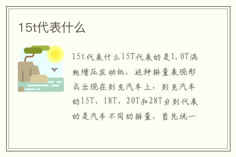 15t代表什么