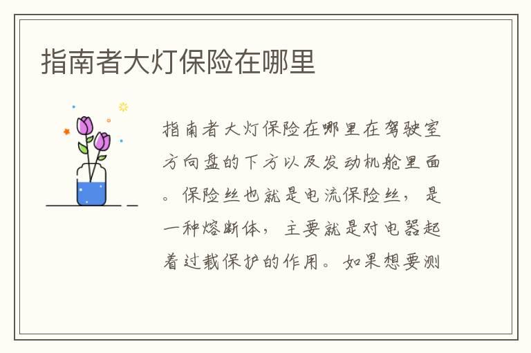 指南者大灯保险在哪里