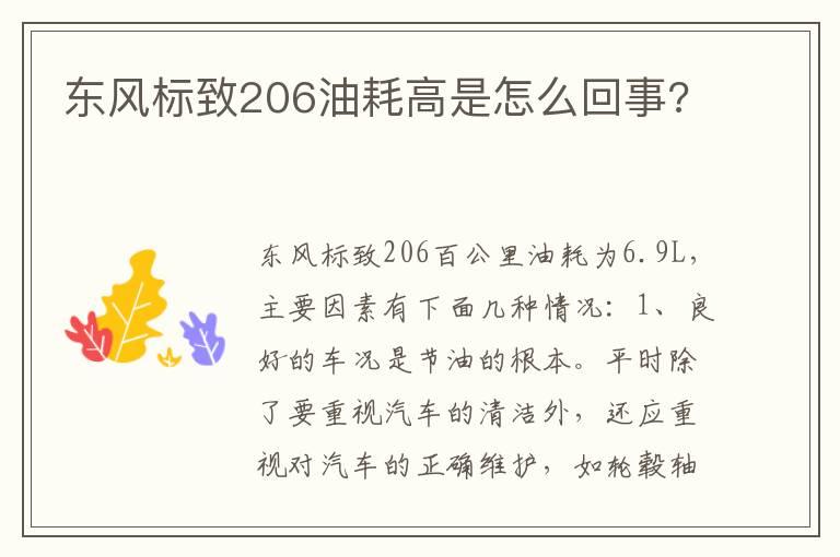 东风标致206油耗高是怎么回事?
