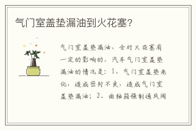 气门室盖垫漏油到火花塞?