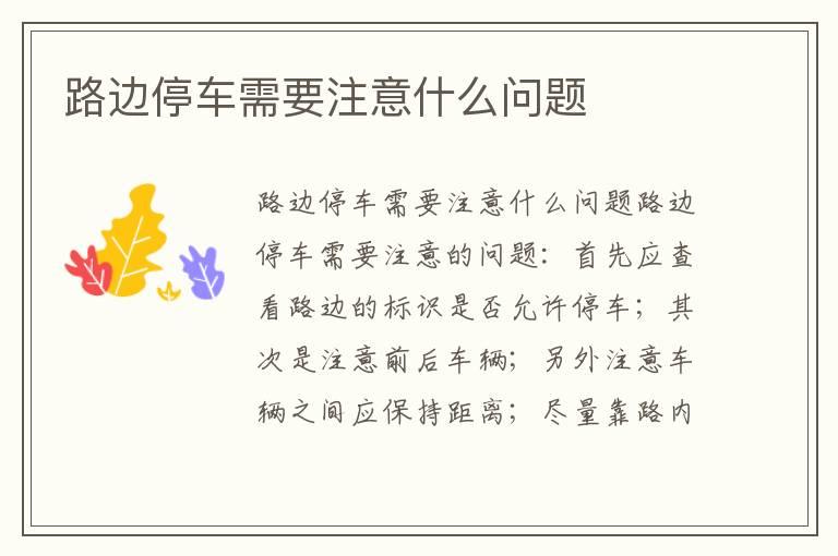 路边停车需要注意什么问题
