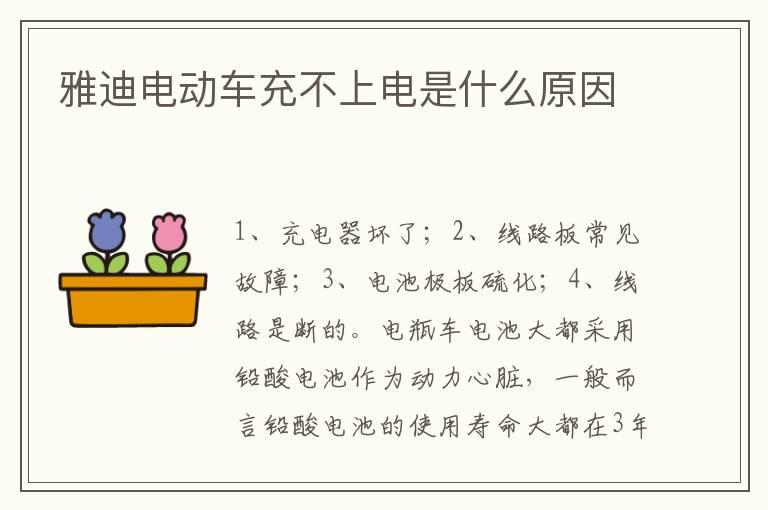 雅迪电动车充不上电是什么原因