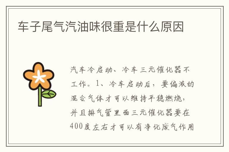 车子尾气汽油味很重是什么原因